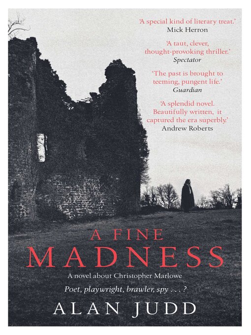 Title details for A Fine Madness by Alan Judd - Wait list